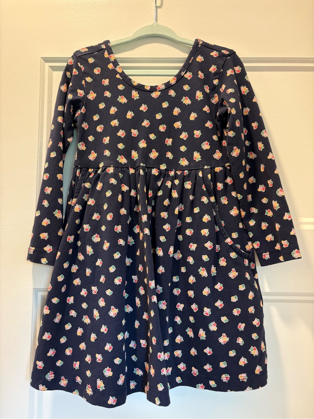 Hanna Andersson Long-Sleeve Skater Dress with Pockets